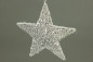 Preview: Sisalstern Glimmer silber Weihnachtsdeko - 25 cm