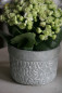 Preview: blumentopf-abc-grey-