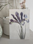 Preview: botanische Klappkarte Lilie