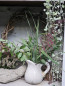 Preview: Country Krug Keramik cream 15cm