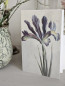 Preview: botanische Klappkarte Lilie