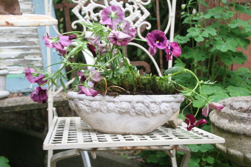 Preview: ovale Schale Blumentopf Rosenbordüre ROSENROMANTIK