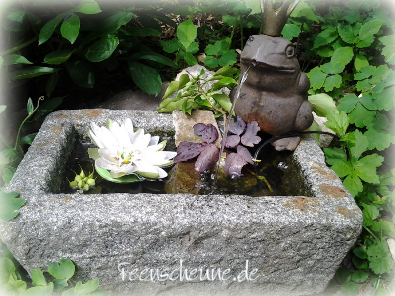 Preview: Froschkönig Guss