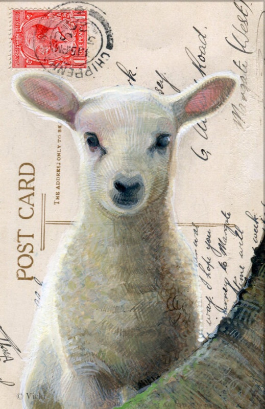 Karte Lamm Post Card
