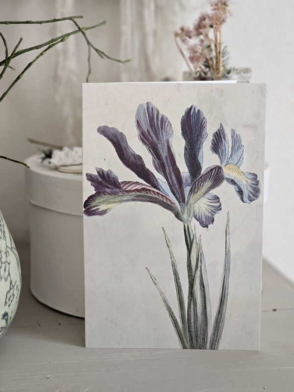 Preview: botanische Klappkarte Lilie