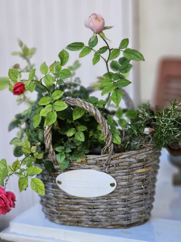 Korbtasche Pflanztopf - WELCOME