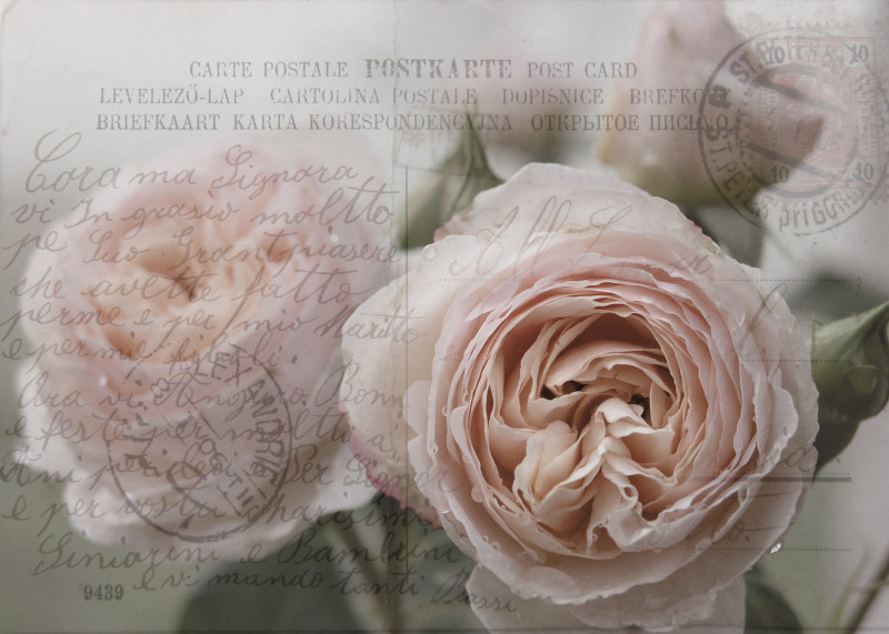 Karte Rose 10 x 7,5 cm