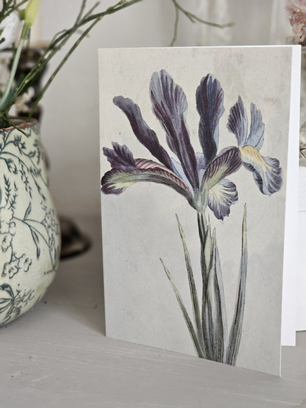 botanische Klappkarte Lilie