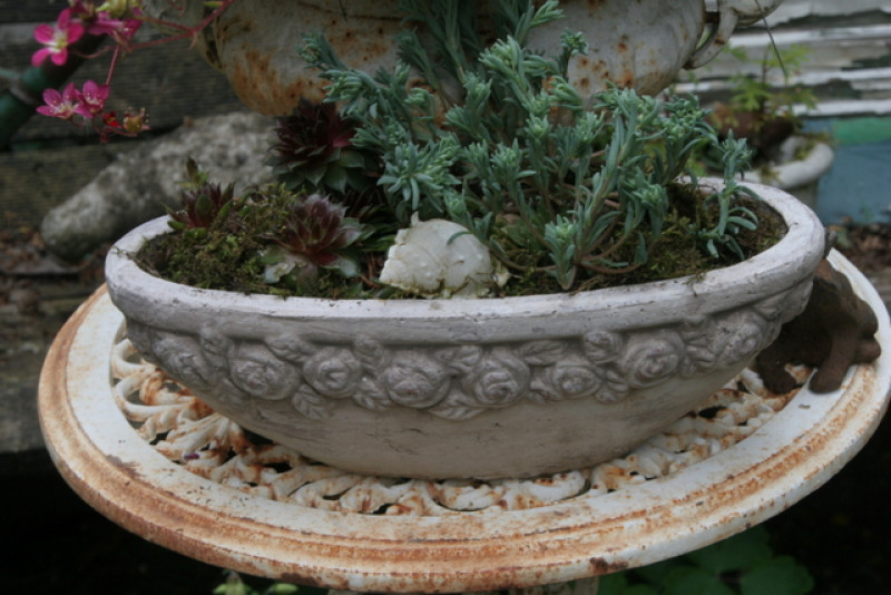 Preview: ovale Schale Blumentopf Rosenbordüre ROSENROMANTIK