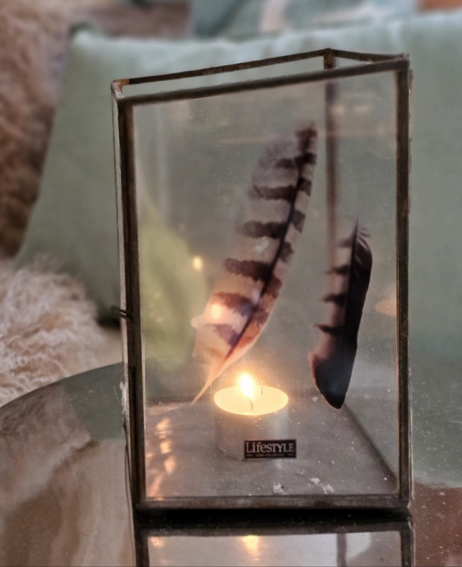 Preview: Windlicht FEDER