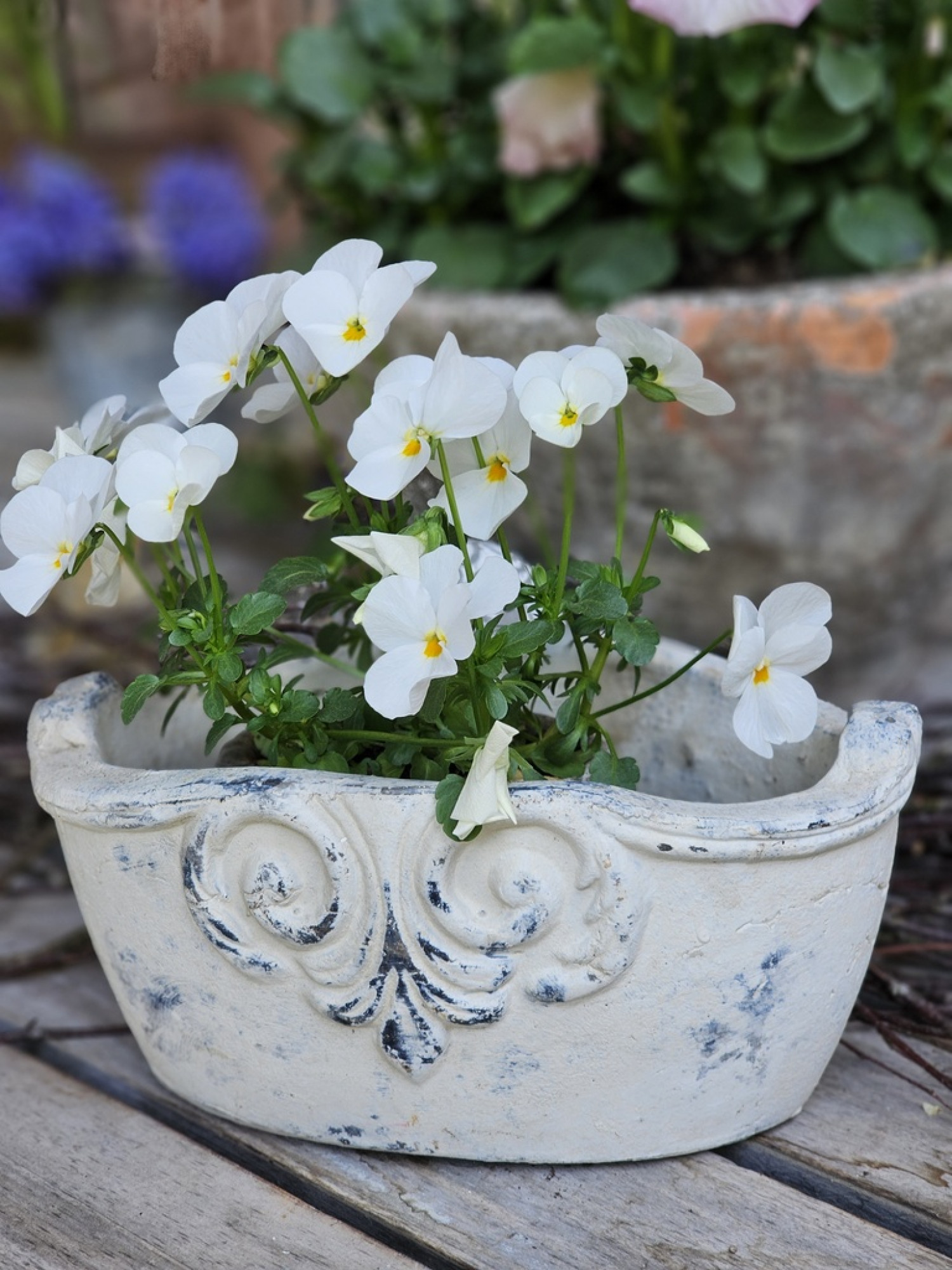 pflanz-blumen-schale-ornament-vintage