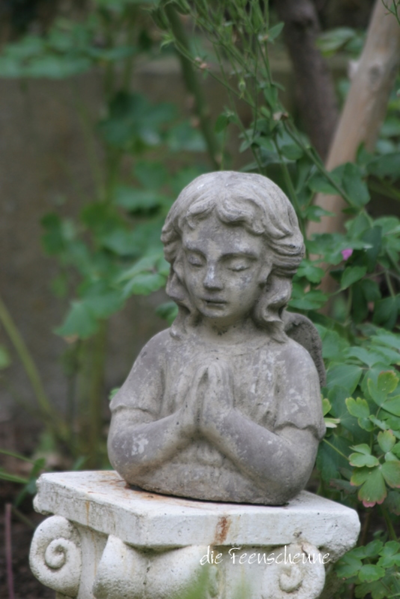 Engel Büste träumend