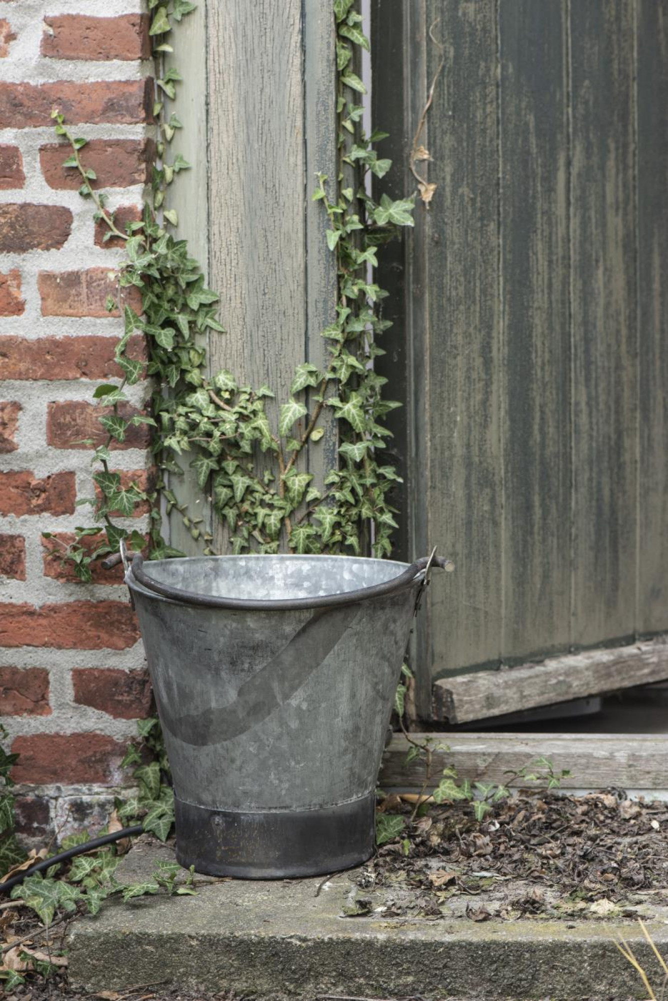 Vintage Zinkeimer Übertopf Gartendeko