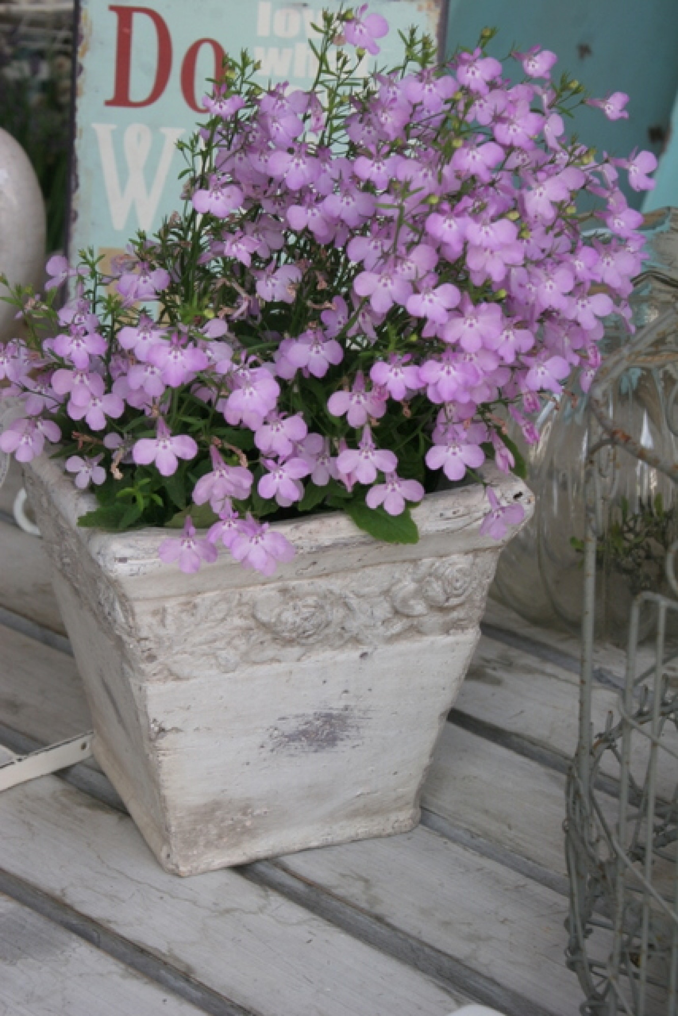 Blumentopf Rosenbordüre eckig