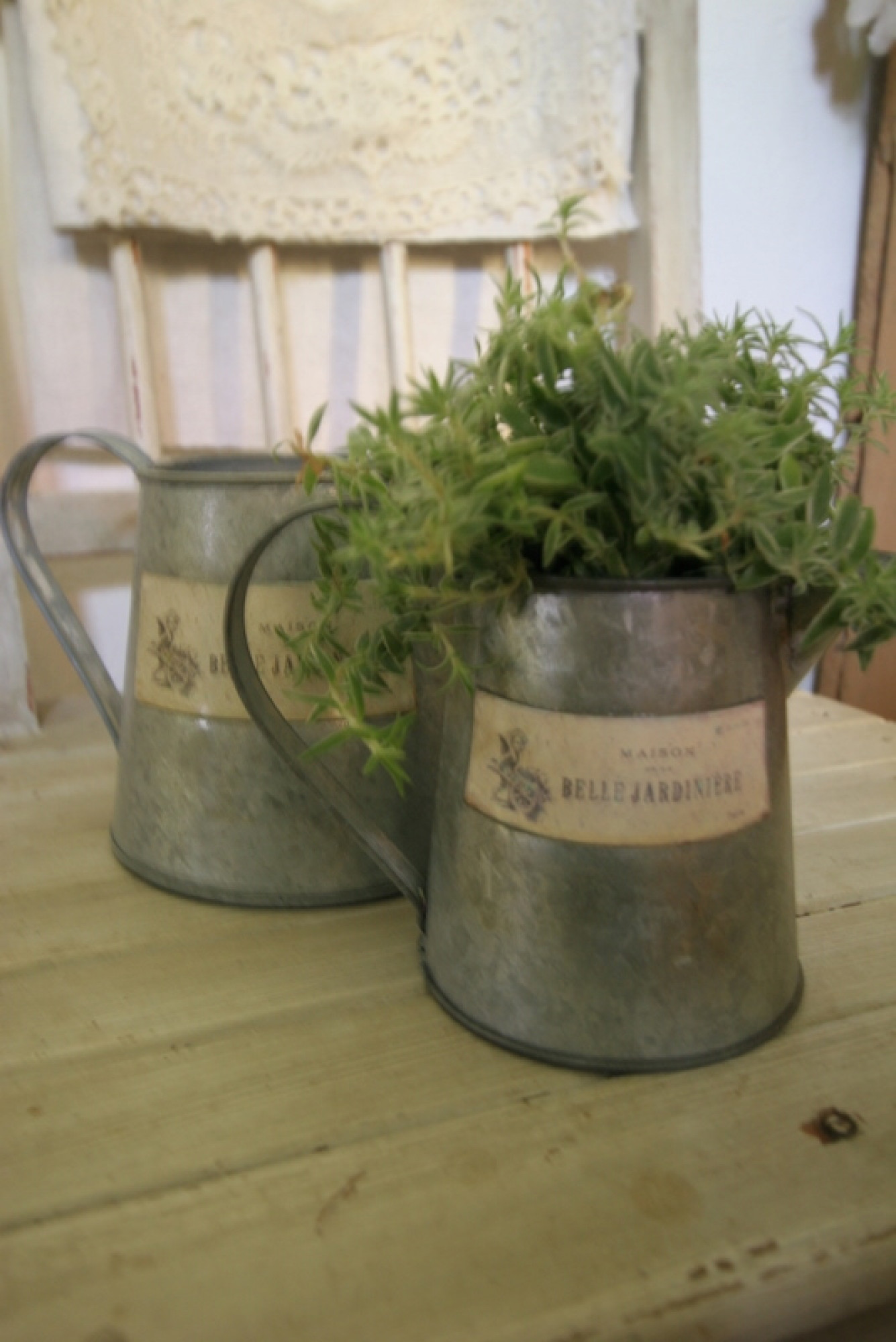 Blumen Metall Topf Gießkanne Zink No.2