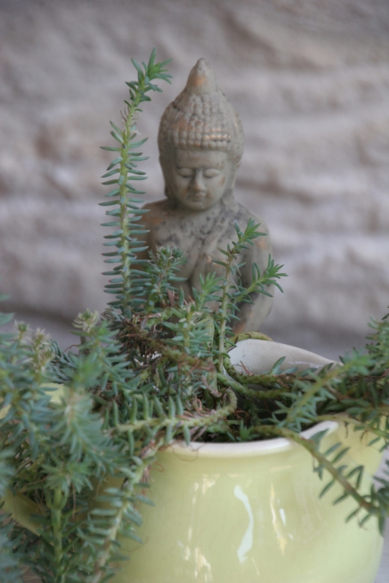 Buddha Keramik
