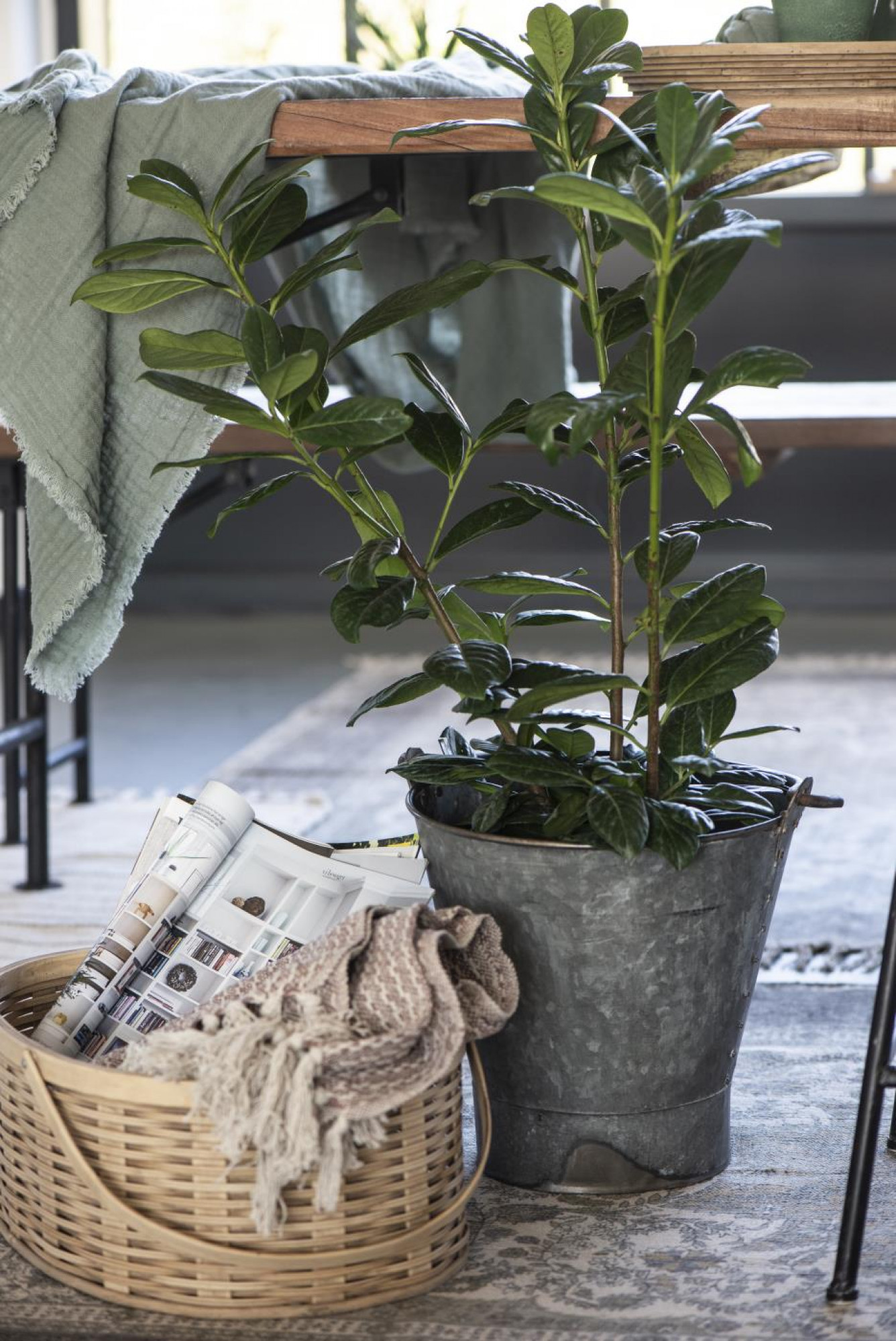 Vintage Zinkeimer Übertopf Gartendeko