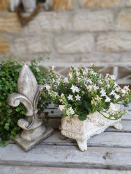 Jardiniere Schale Gusseisen Gartenschale