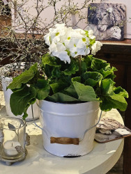 Übertopf Emaille-Look Keramik - M