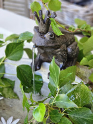 kleiner Wasserfrosch m. Krone Wasserspeier Guss