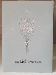 Lavendel-Saat - Lass Liebe wachsen