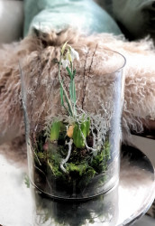 Glas Vase Windlicht Hurricane m Schliff Herz